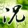 公寓